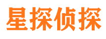 老城市侦探调查公司